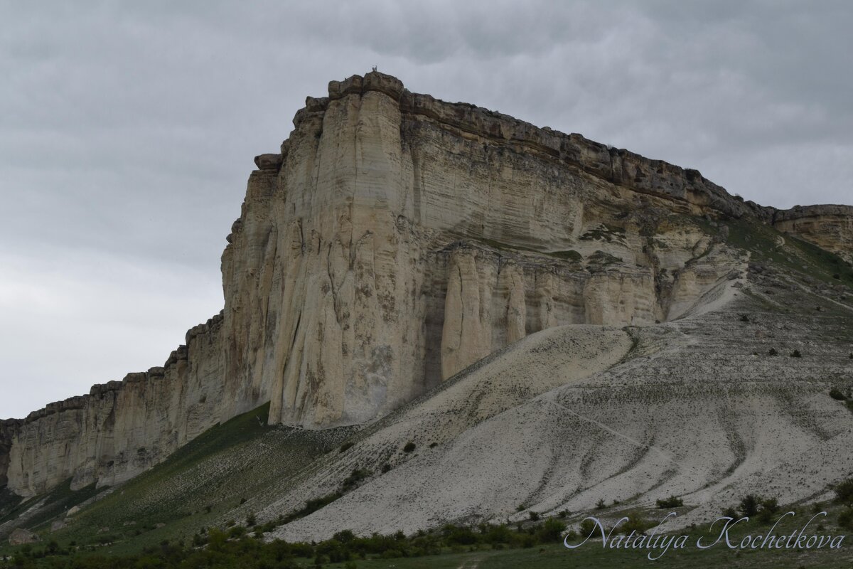 Природа Крыма - Amazing Cosmea