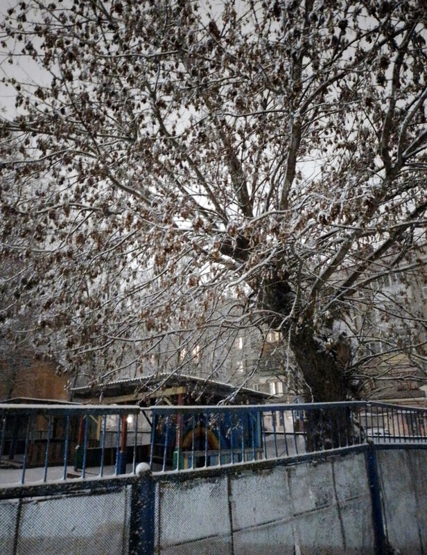 *** - Валентина Береснева