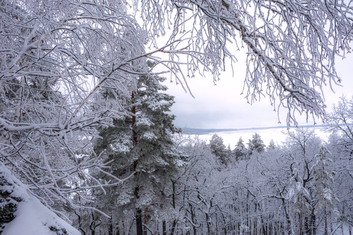 Зимнее волшебство - Наталья Димова