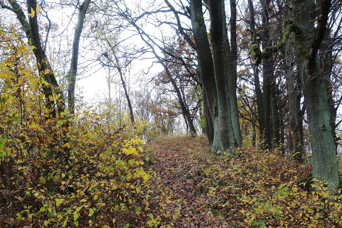 Ашманн парк, Калининград - Рита Симонова