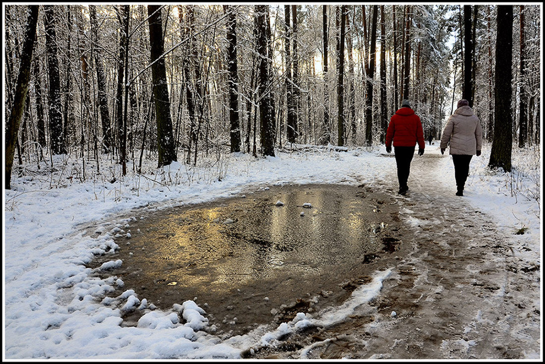 Зимняя прогулка - Aleksandr Gal