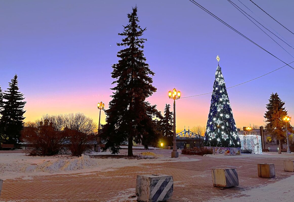 До Нового года осталось несколько дней... - Olga Oskolkova