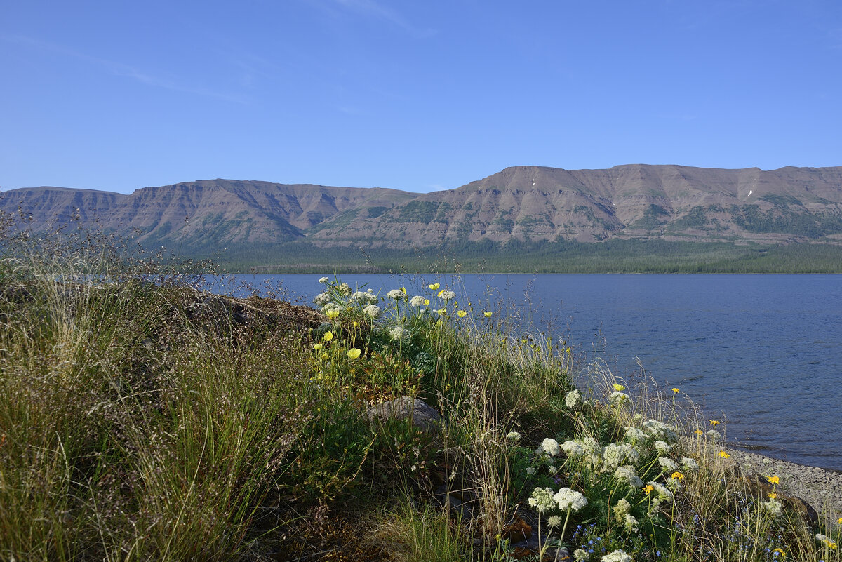 оз. Глубокое - Александр Хаецкий