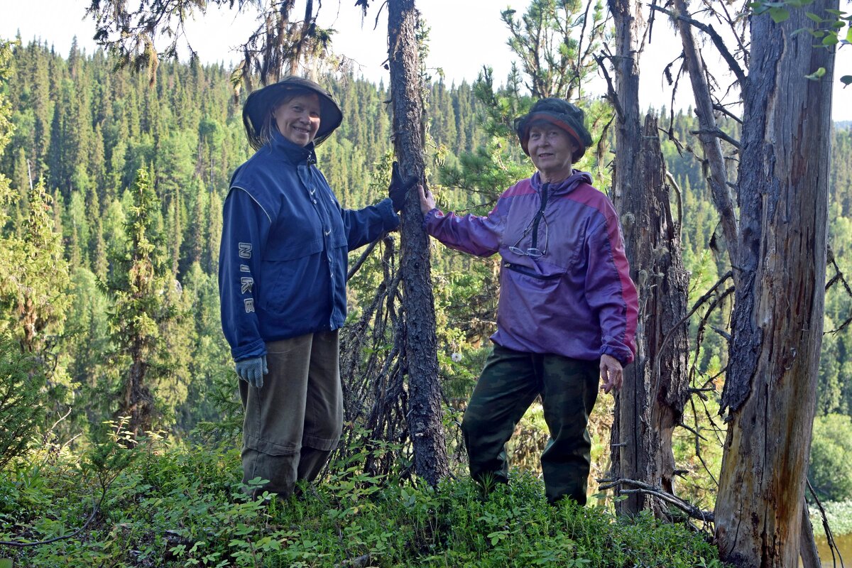 На вершине. - ВикТор Быстров