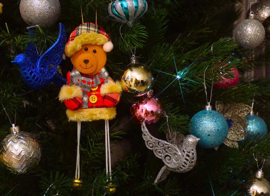 Медведь - Юрий Полторыхин.