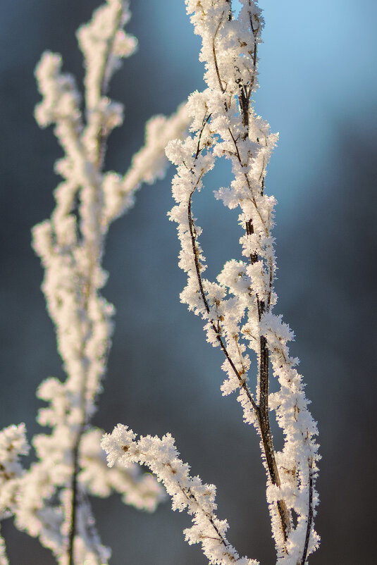 *** - Виктор Иванович Чернюк