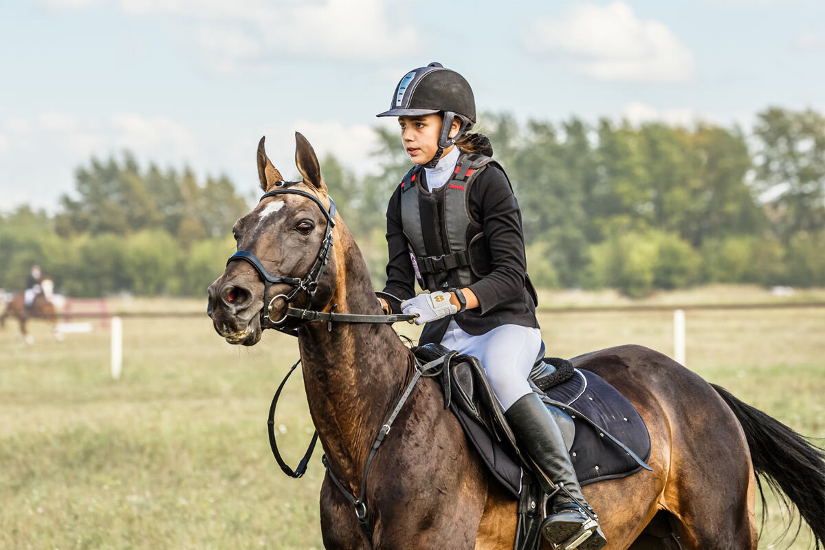 Конкур - SanSan 