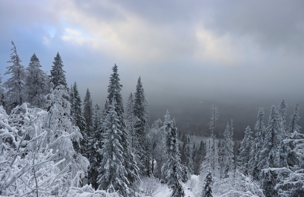 Переменная облачность... - Галина Ильясова