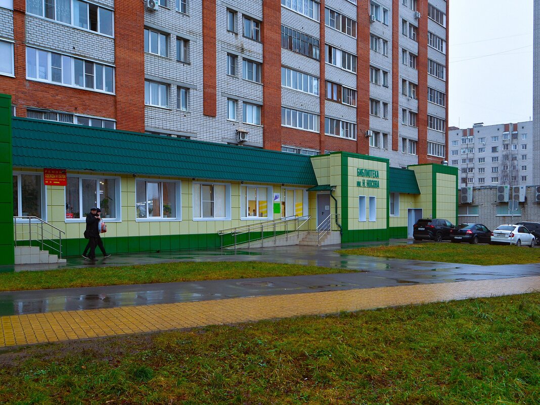 Новочебоксарск. Библиотека им. Н. Носова. - Пётр Чернега