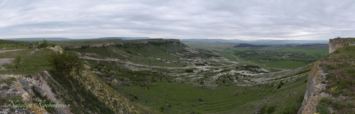 Природа Крыма - Amazing Cosmea