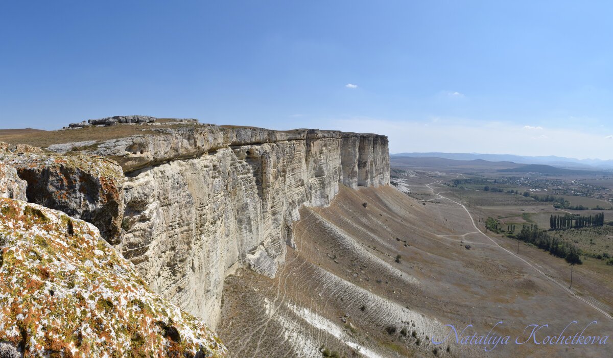 Природа Крыма - Amazing Cosmea