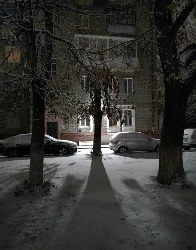 *** - Валентина Береснева