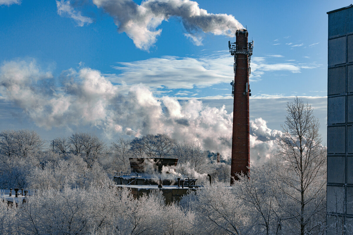 Вид из окна - Александр Силинский