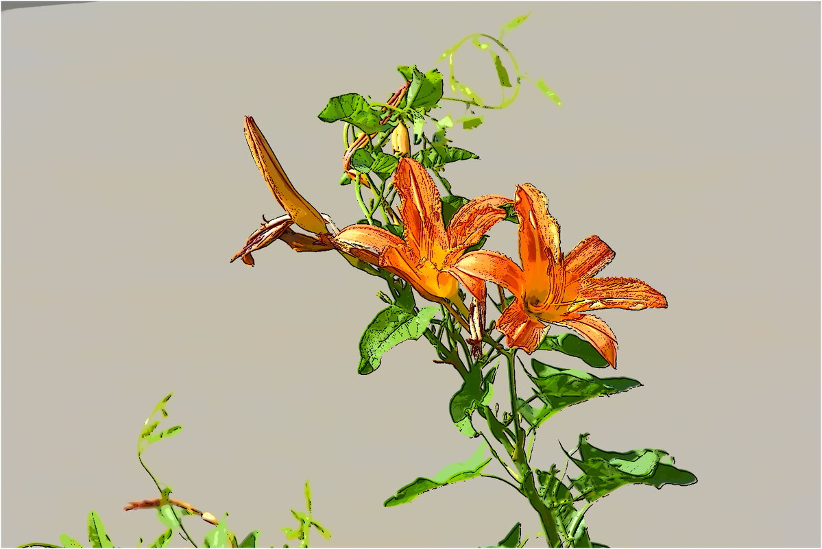 ЦВЕТЫ - Юрий Владимирович 34 ЦВЕТЫ - Юрий Владимирович 34