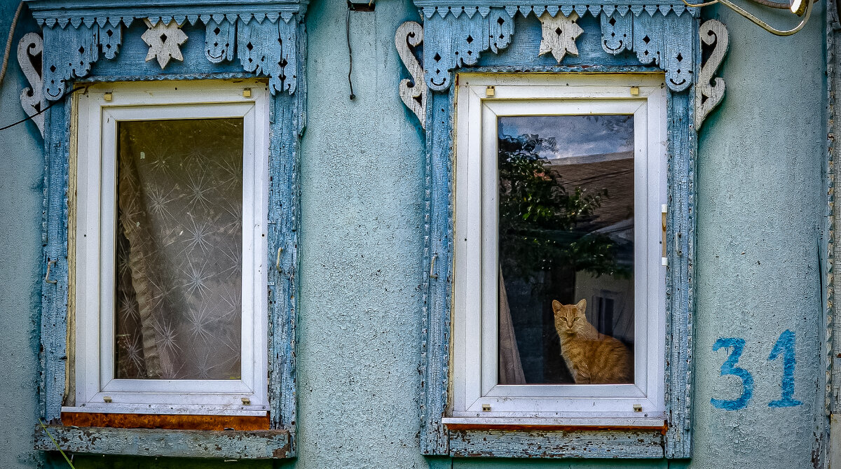 Рыжик - Михаил К