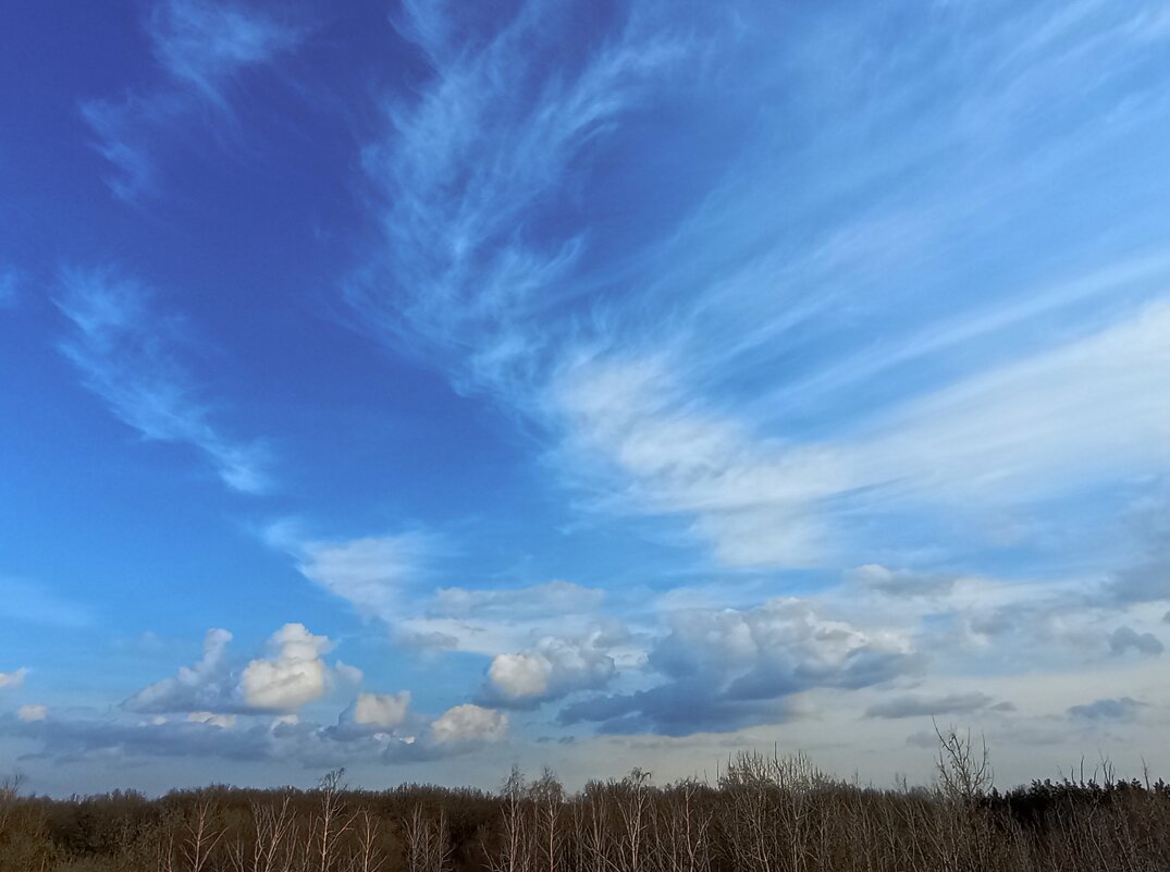 "Goodbye Blue Sky" (© P.F.) - Александр Герасенков