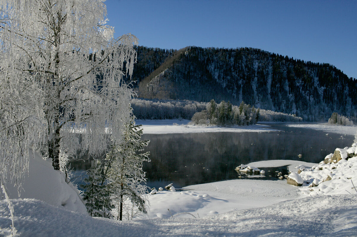 Бия... - владимир 