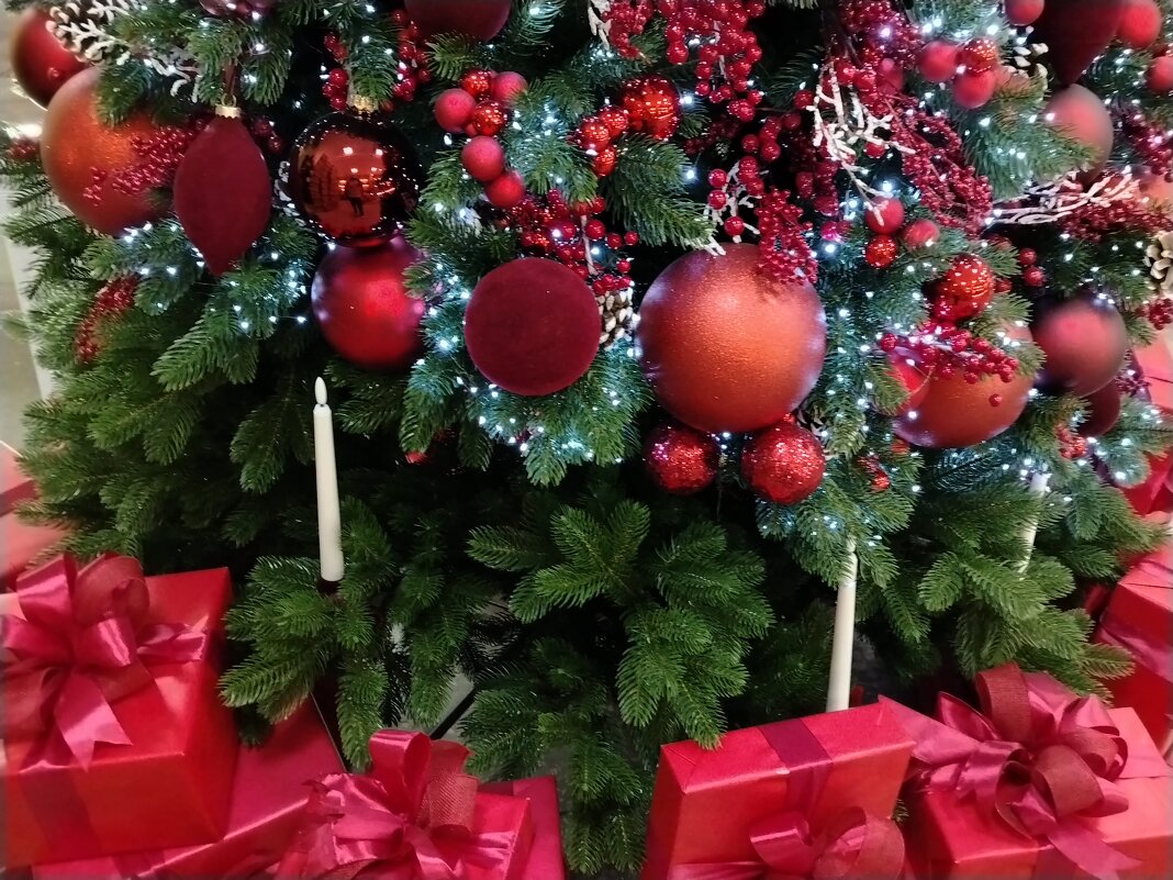 До Нового года 5 дней! - Надежда 