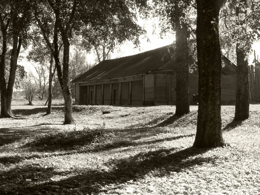 Усадьба Рериха - Наталья 