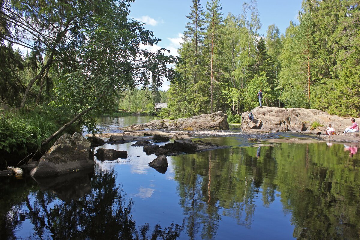 Бешеная - Владимир Соколов (svladmir)