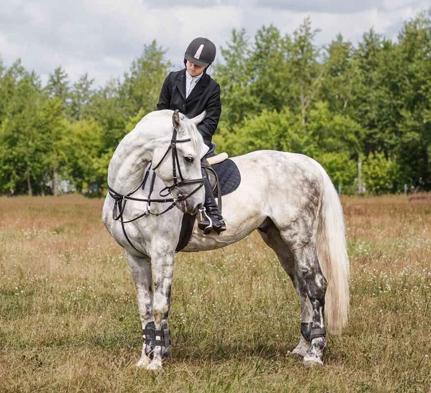 Конкур - SanSan 