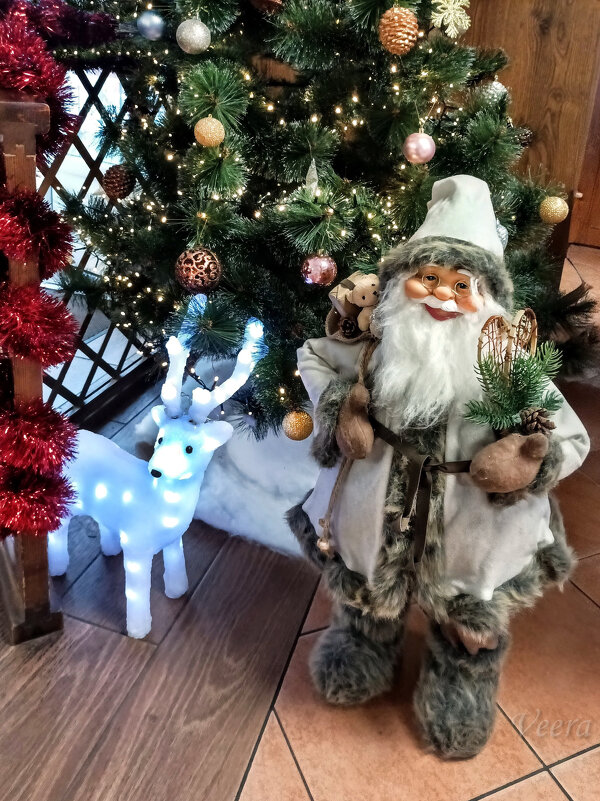 В гостях у Йыулувана - Veera V