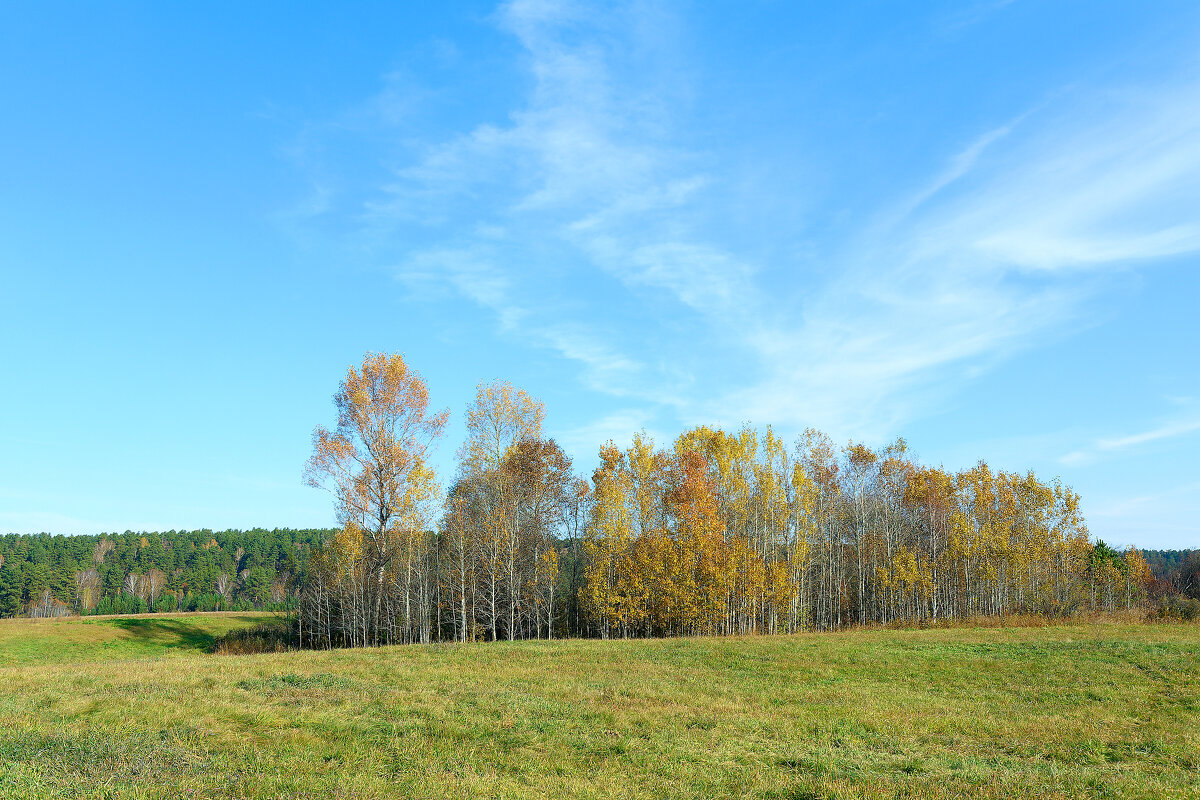 Золотая осень - Дмитрий Конев