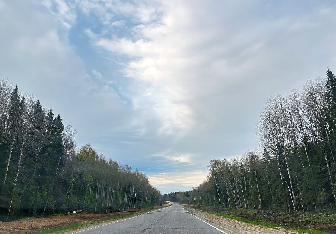 "Дорога, дорога..." - Olga Oskolkova