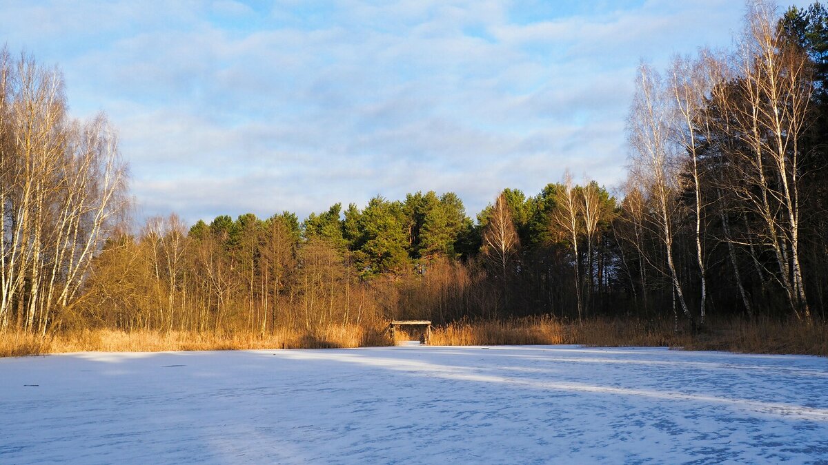 Природа в ожидании Нового года. - Милешкин Владимир Алексеевич 