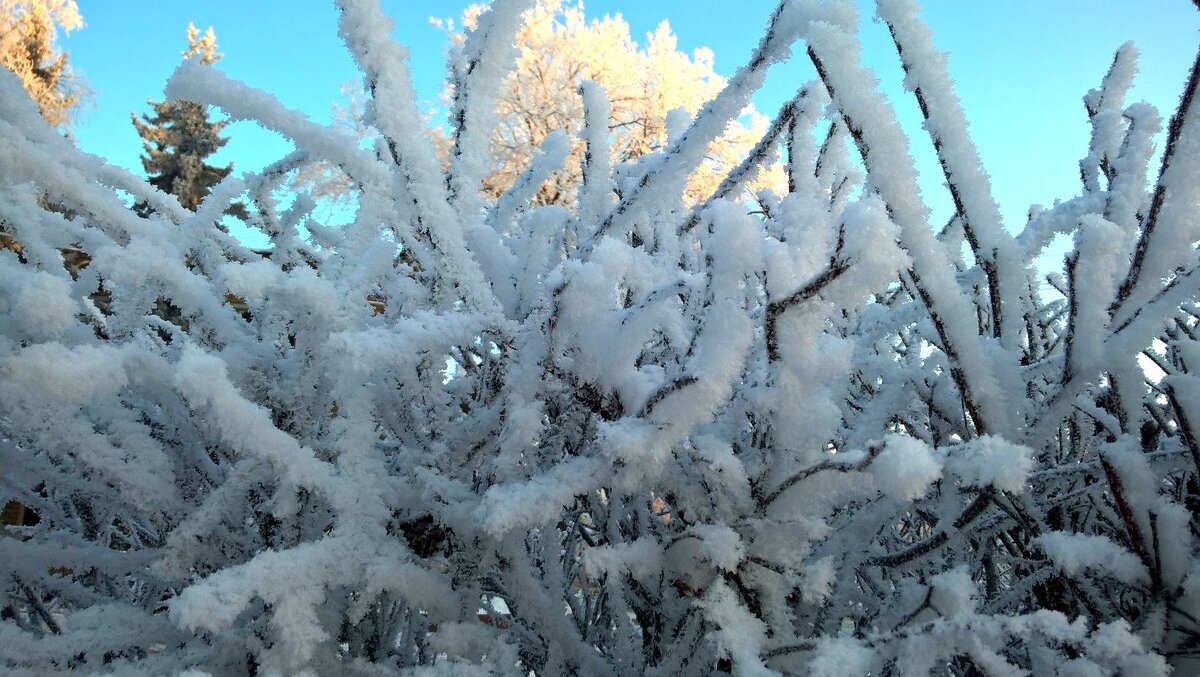 Снежные мотивы - Елена Семигина