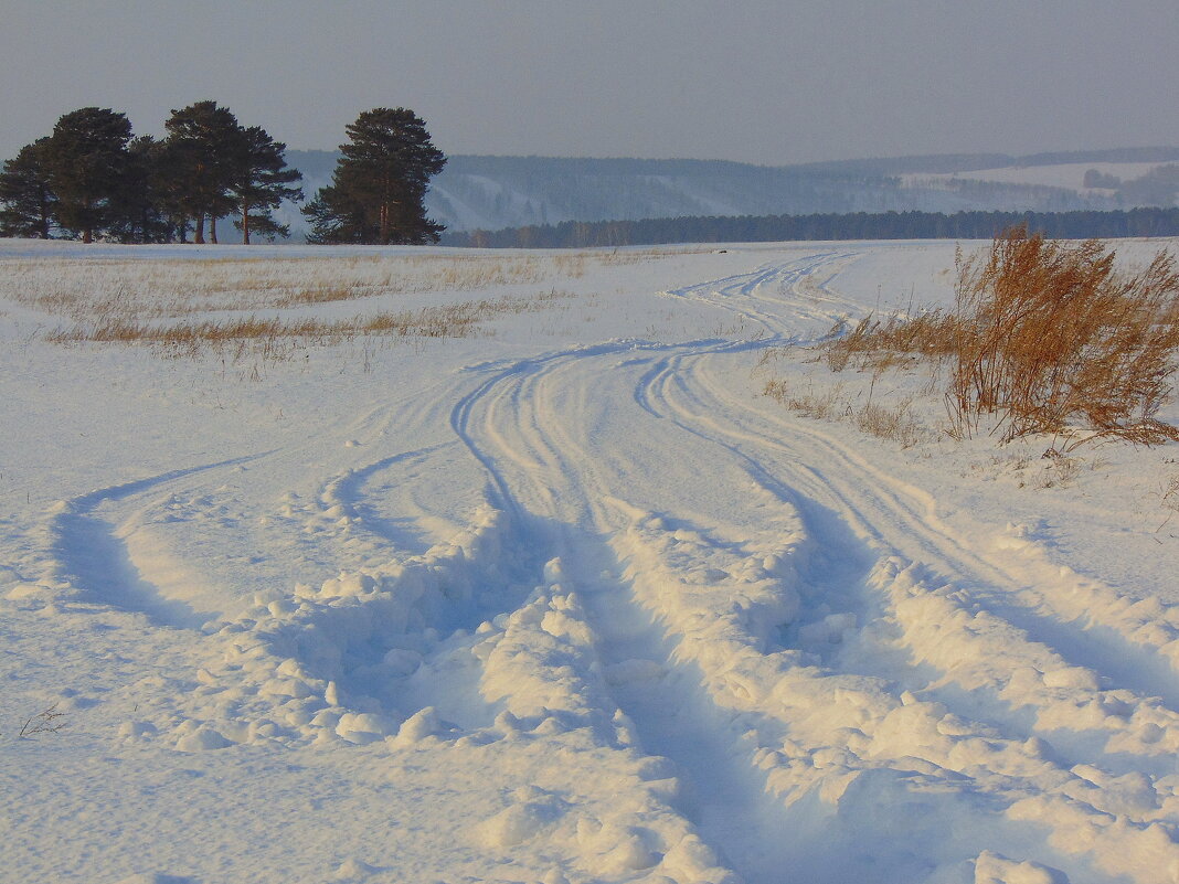 По дорогам зимы. - nadyasilyuk Вознюк