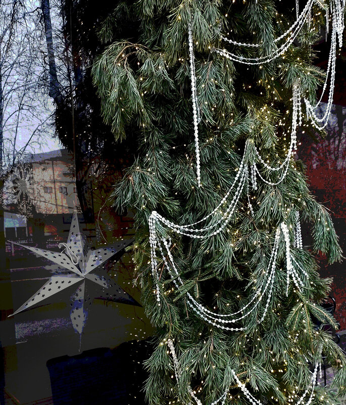 *** - Валентина Береснева