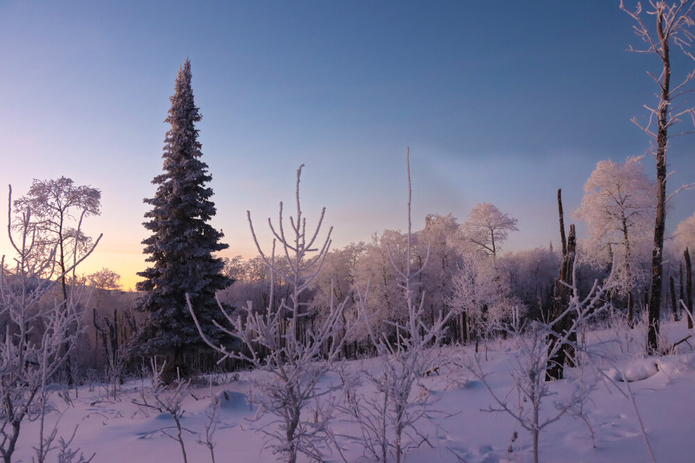 Краски зимнего вечера - Галина Ильясова
