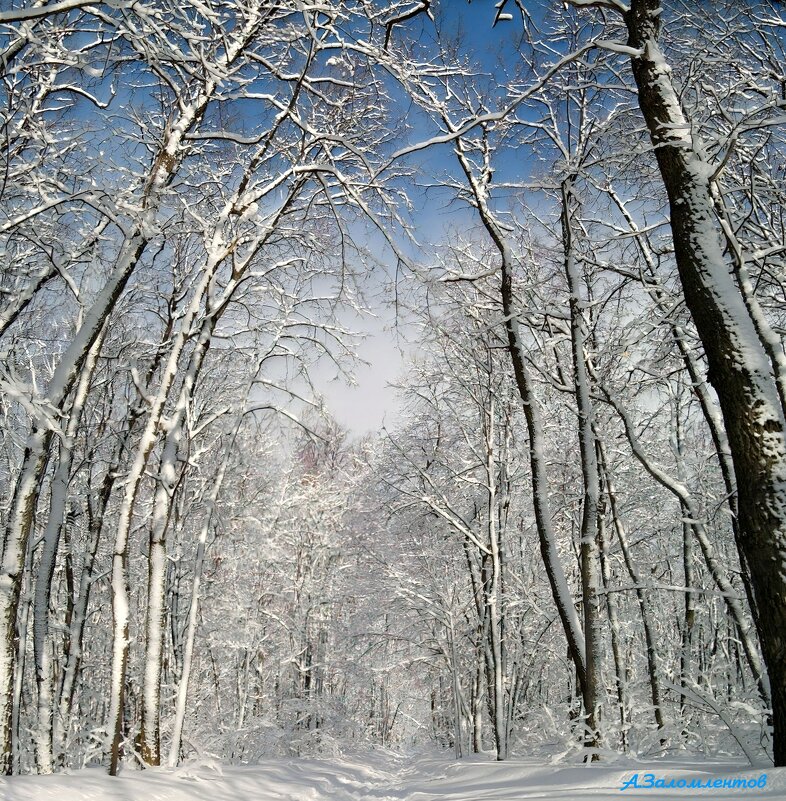 Про зимнее волшебство... - Андрей Заломленков