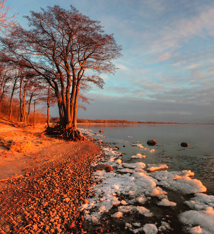 *** - Сергей Григорьев