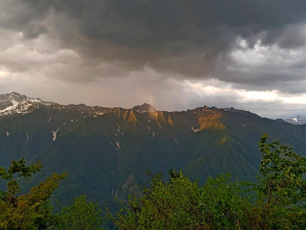 красная поляна сочи - Tata Wolf