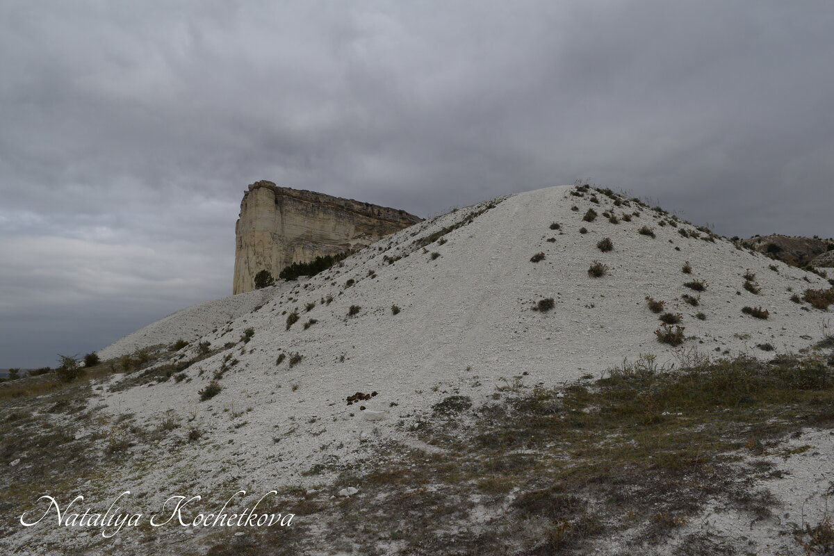 Природа Крыма - Amazing Cosmea