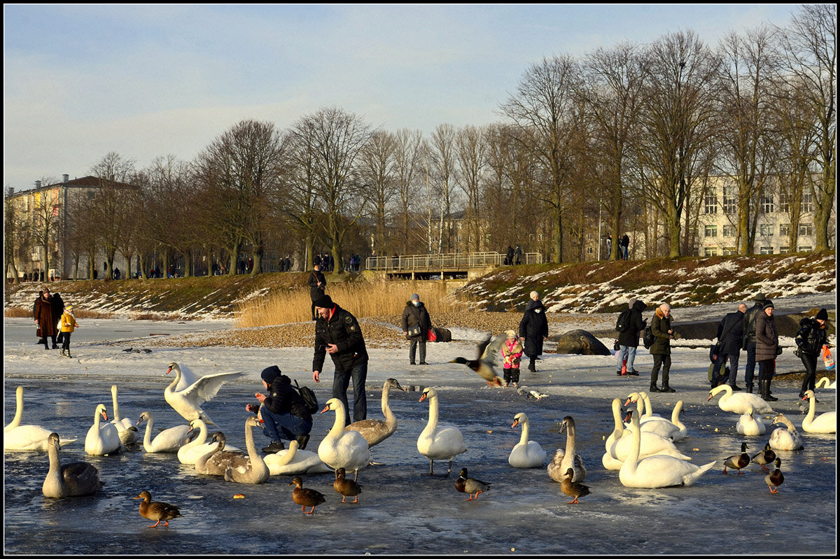 Помоги ближнему - Aleksandr Gal