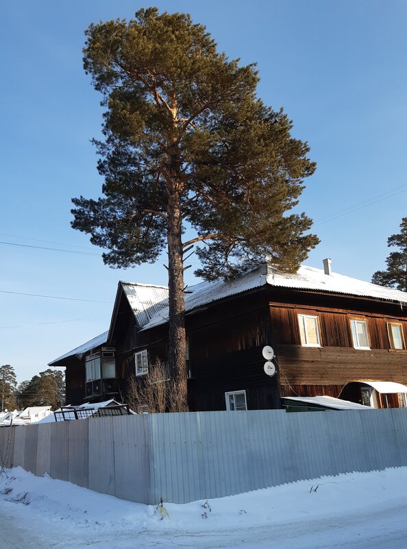 Фото одного дня - Галина Минчук