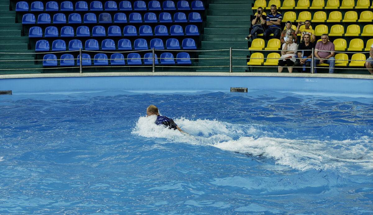 Дельфины везут дрессировщика - Игорь Сикорский