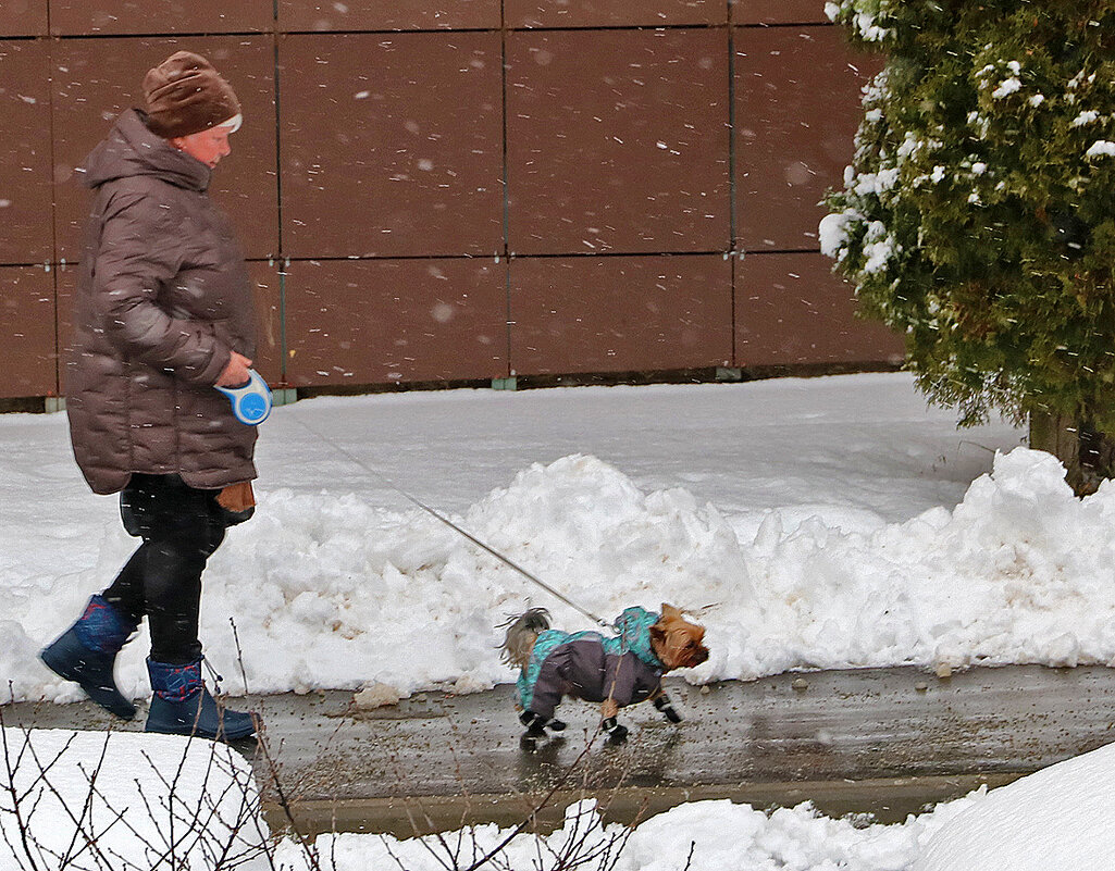 Прогулка под снегом - Светлана 