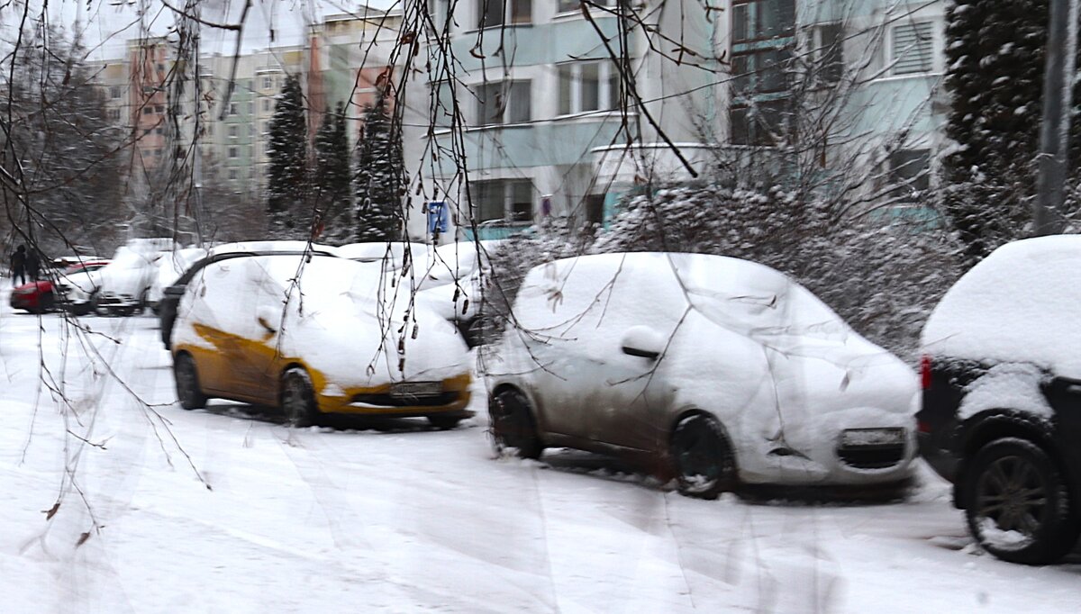 Засыпало... - Василий Палий