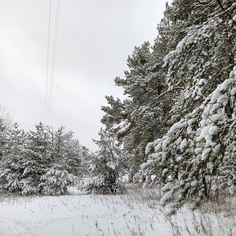 пейзаж - Владимир 