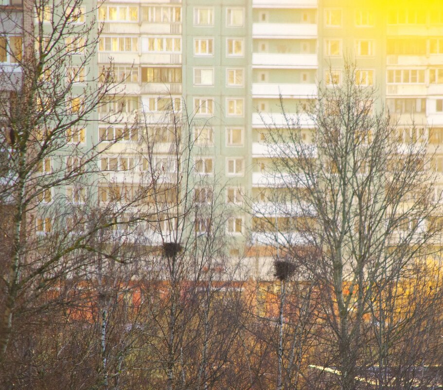 Ждут... - Юрий Куликов