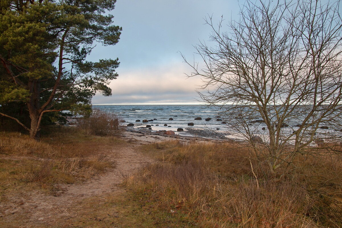 *** - Геннадий Порохов