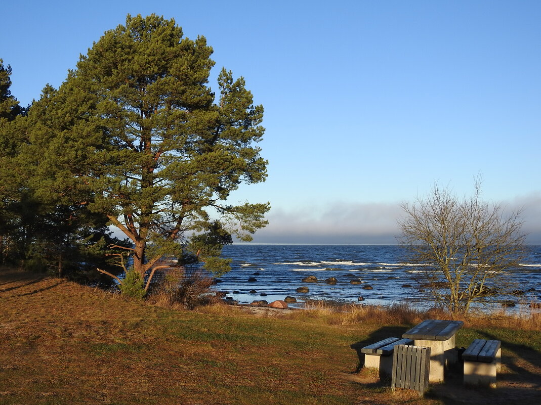 декабрьское море - ИННА ПОРОХОВА