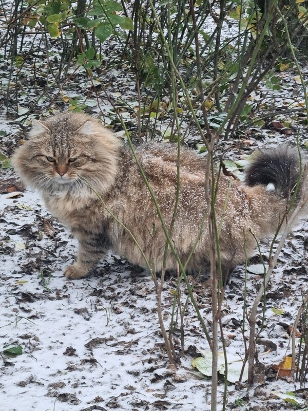 Зачем зовешь?.. :) - Наталья 