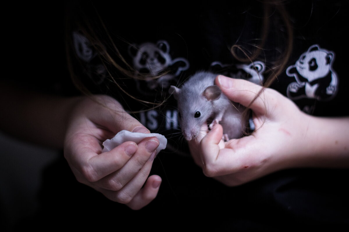 Процедуры, избавляемся от  соплей - Артём 