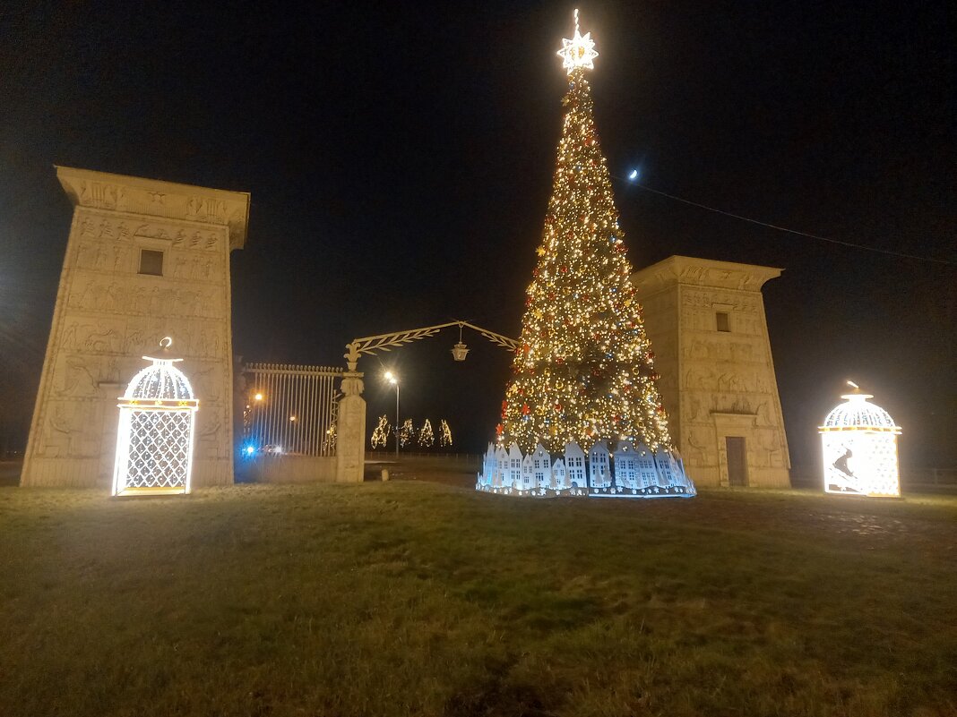 Ёлка - Сапсан 