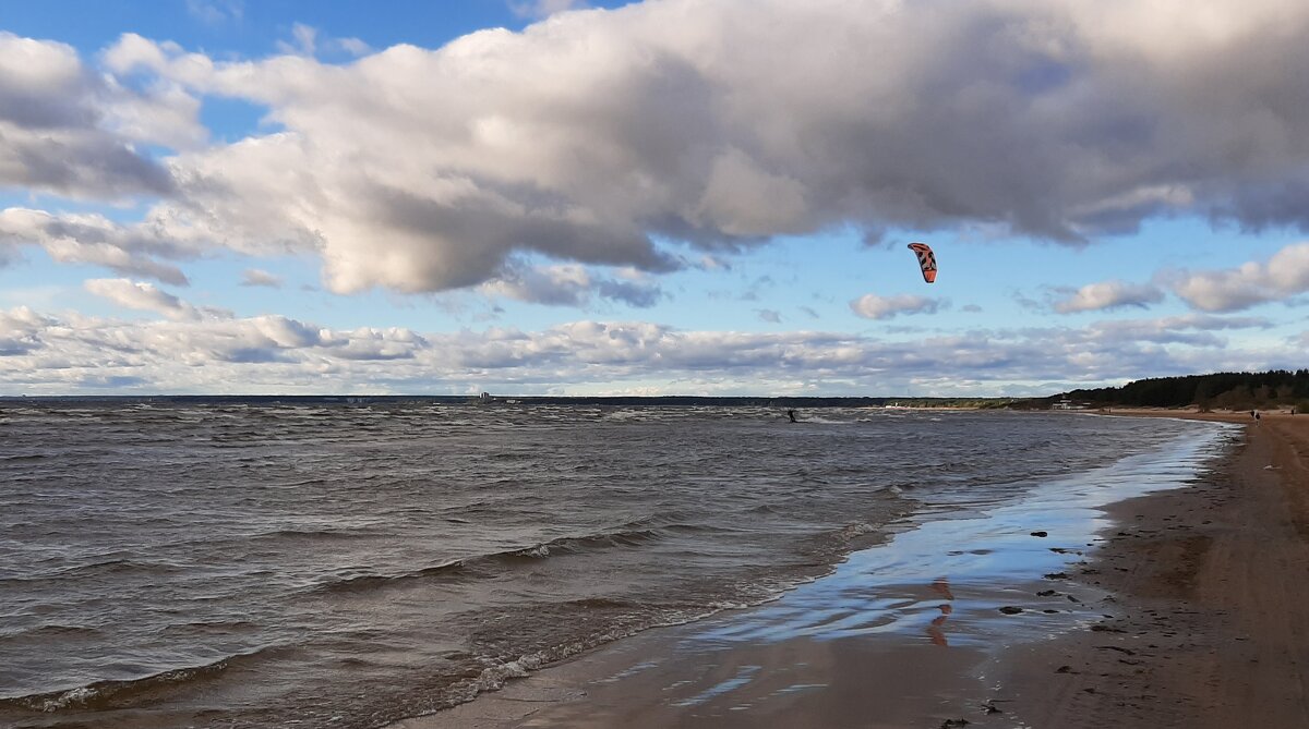 Осень 2025. Сентябрь - Наталья Герасимова Осень 2025. Сентябрь - Наталья Герасимова